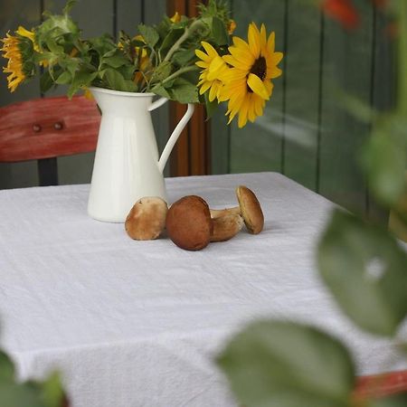 Holiday Home Trnavsko Bogojina Exteriér fotografie