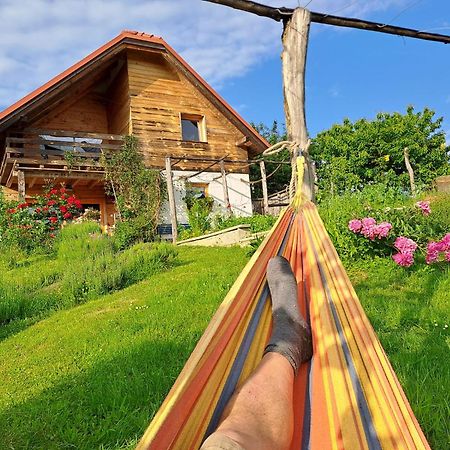 Holiday Home Trnavsko Bogojina Exteriér fotografie
