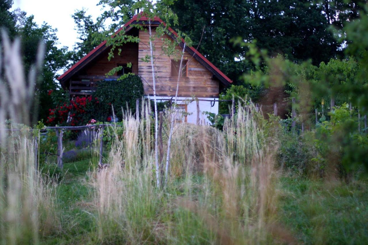 Holiday Home Trnavsko Bogojina Exteriér fotografie